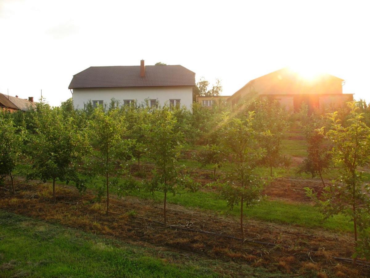 Owocowy Raj Nad Zalewem Villa Modla Krolewska Bagian luar foto